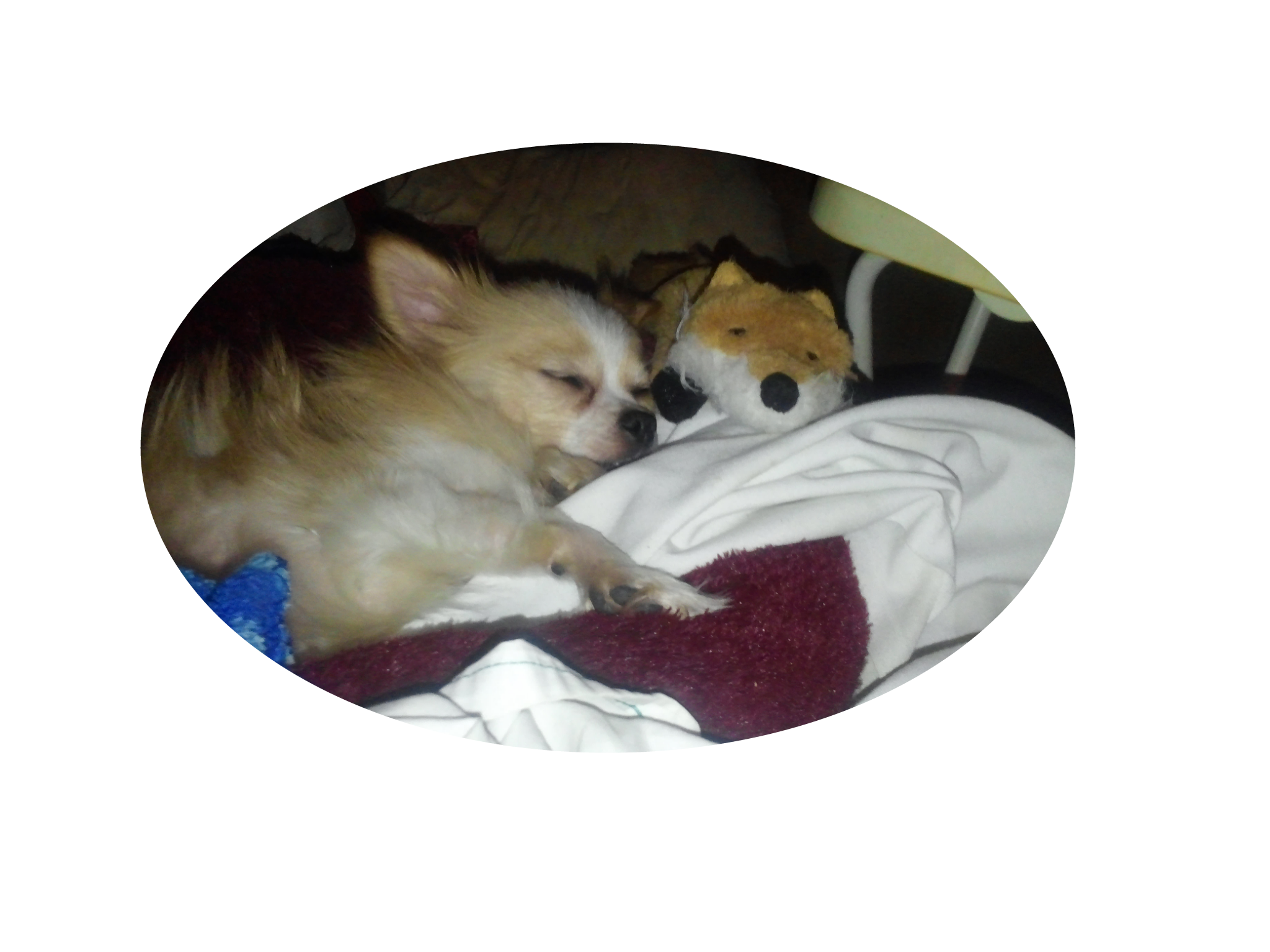 My Baby Sleeping With His Foxy Image By vickihendrixbrown