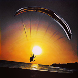 sunset paragliding people nature beach